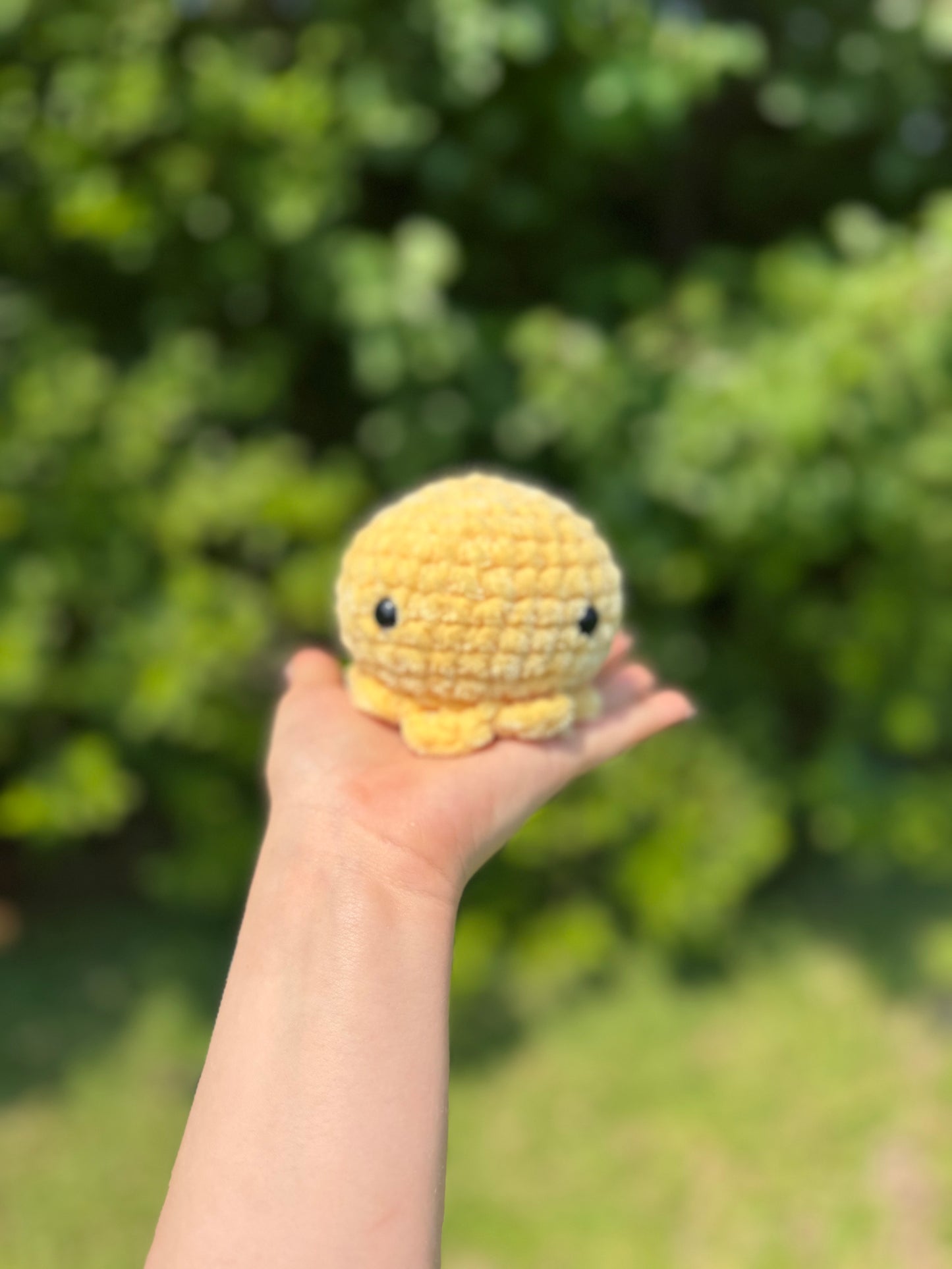 Small Octo Crochet Plushie