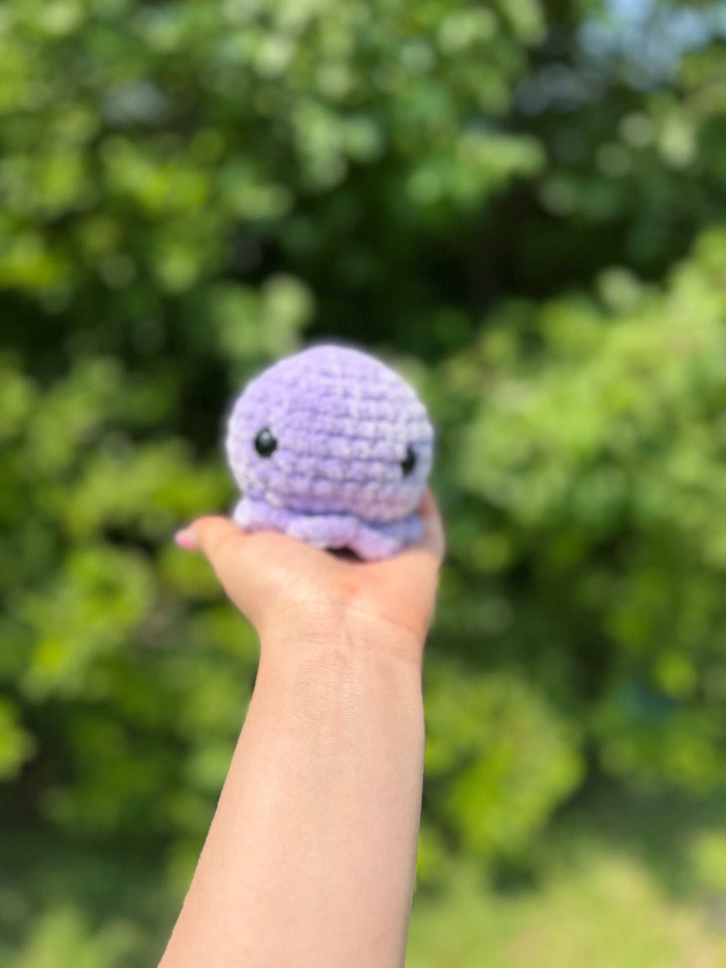 Small Octo Crochet Plushie
