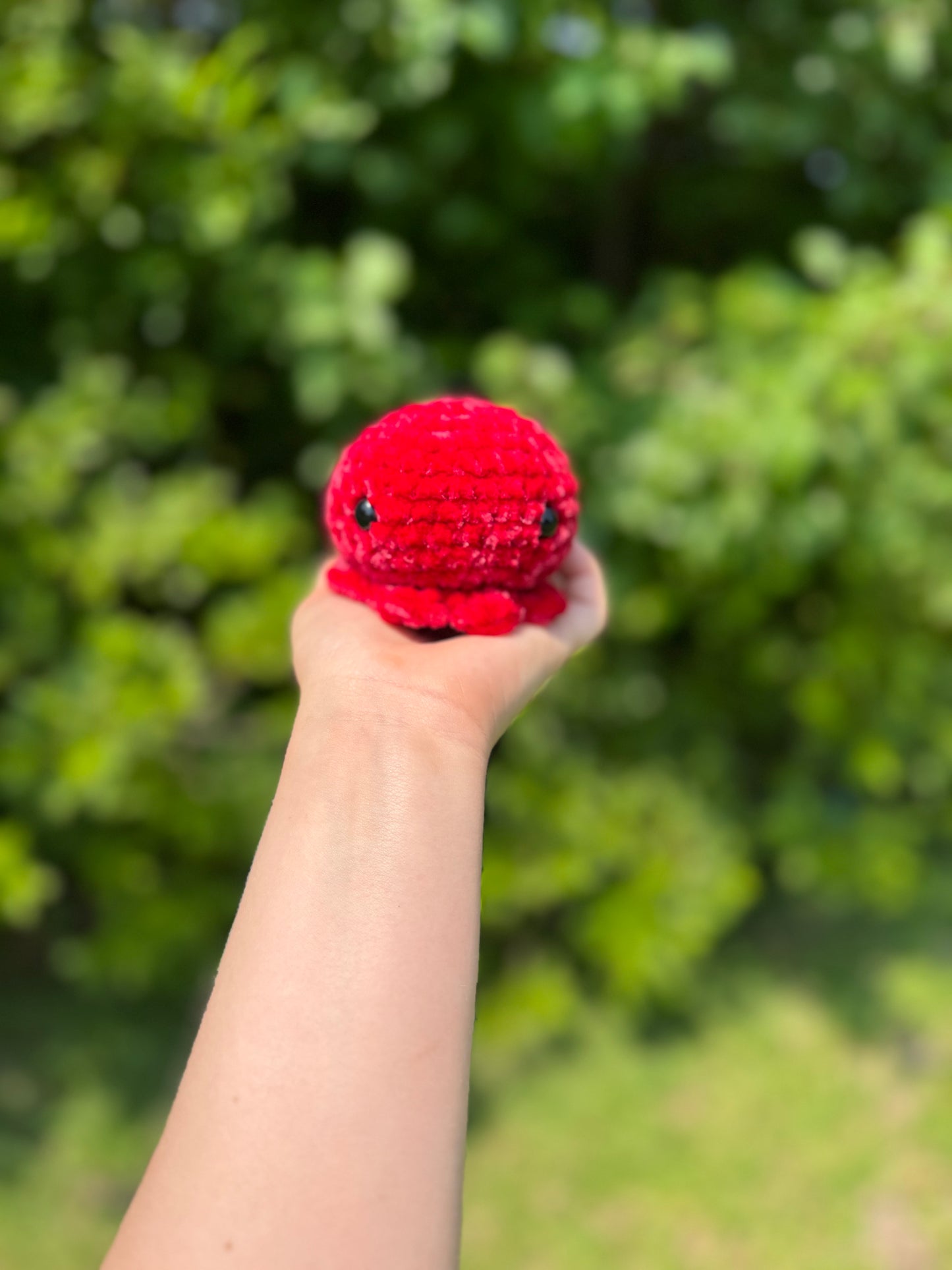 Small Octo Crochet Plushie
